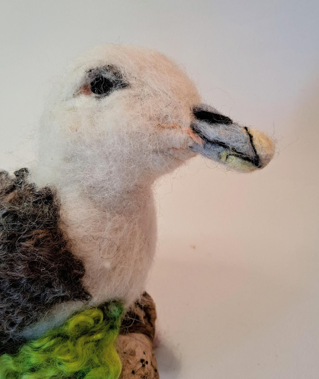 Needle Felt Fulmar (Gull)
