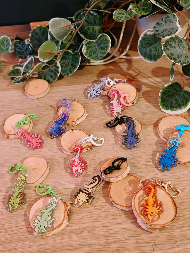 Axolotl - Mystery Bag