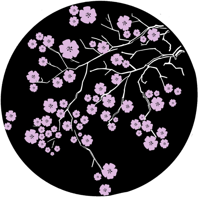 Kartonrondelle Kirschblütenzweig schwarz/rosa