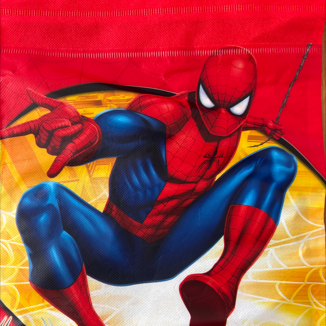 Spider-Man string bag