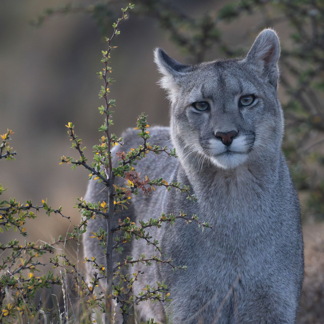 Tirage Fine Art Cadre aluminium Carré 60X60cm