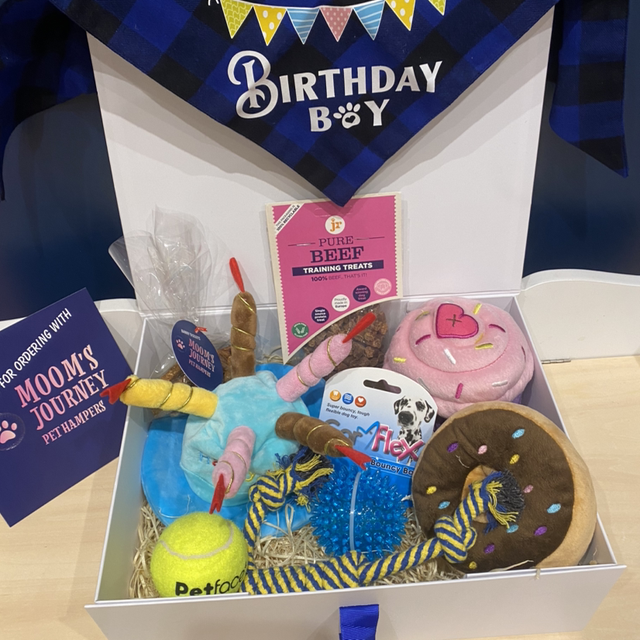 Dog Birthday Box