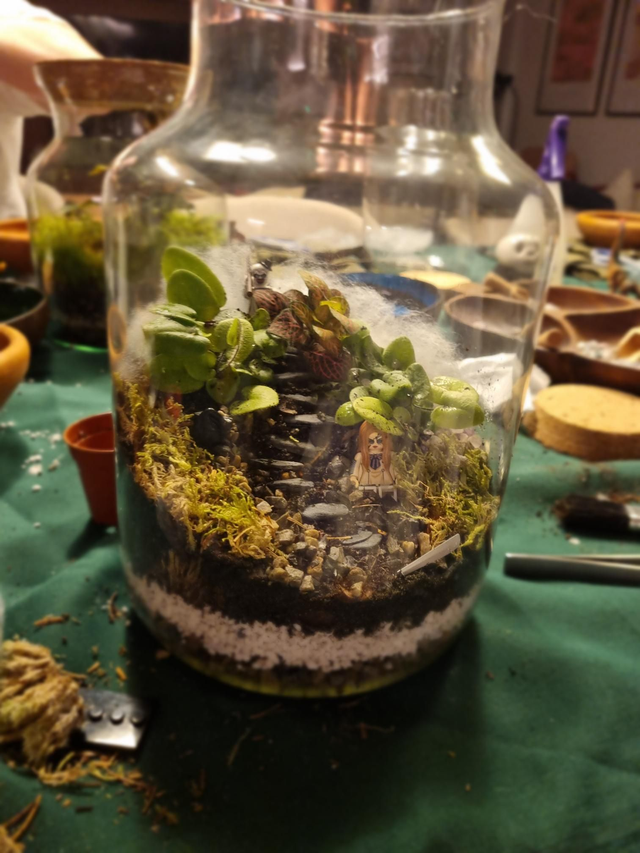 Terrarium Workshops 25th January 12-2pm
