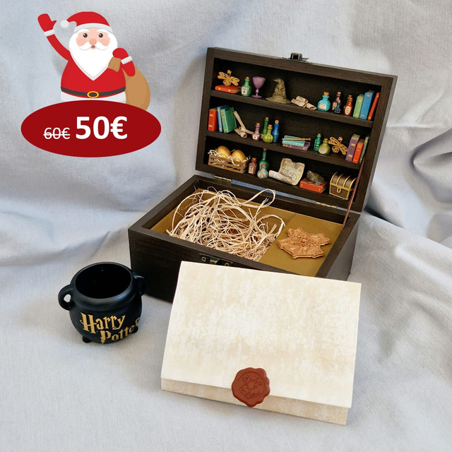 FanBox Musical Harry Potter