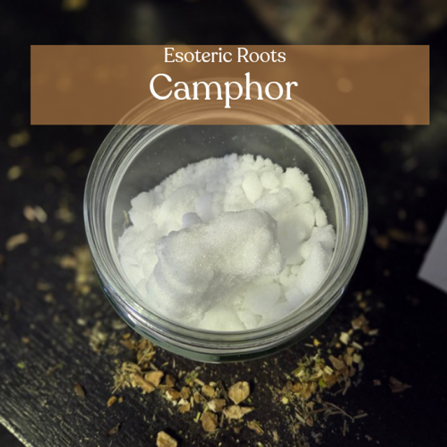 Camphor | Traditional Purification &amp; Ancestral Protection