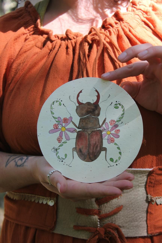 « Lucarne grand-cerf »