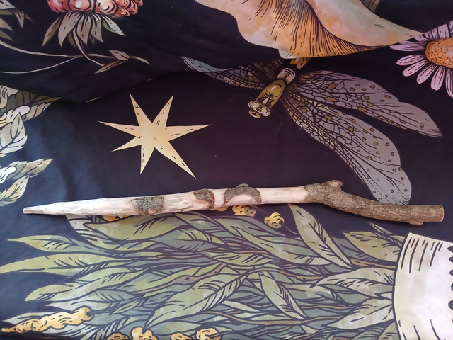 Baguette de sorbier lune