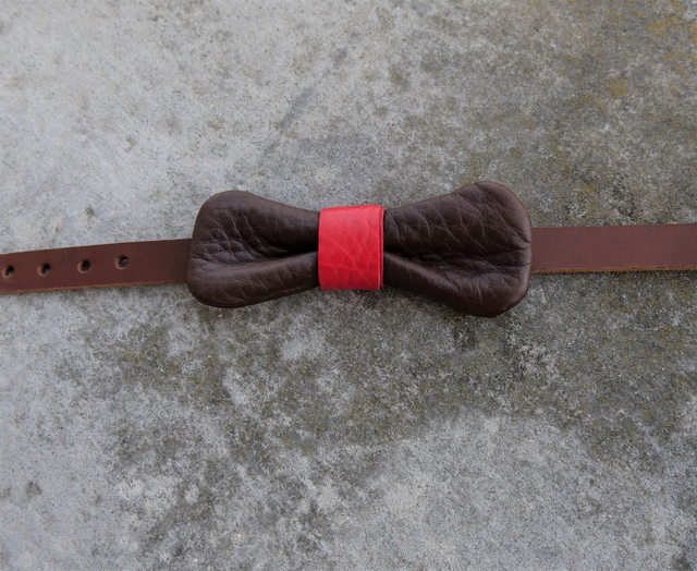 Noeud papillon marron et rouge