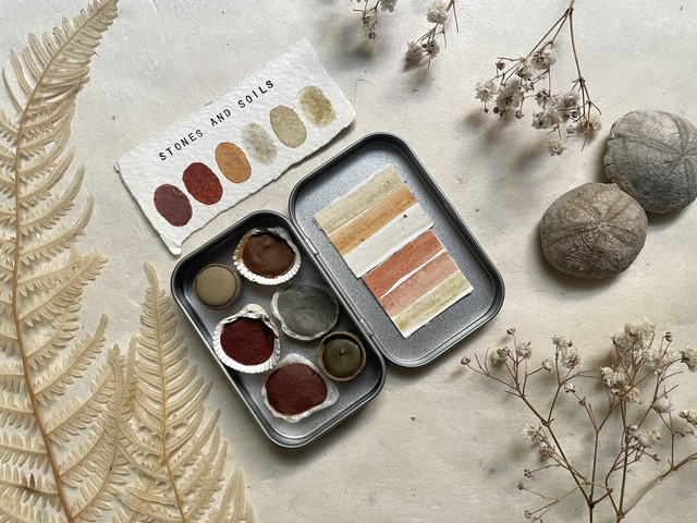 All Foraged - 6 shells in Mini Tin 