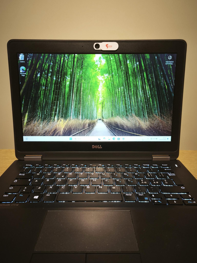 Dell latitude e7270 usato 