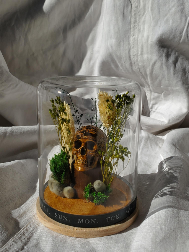 D15 mini crâne vert