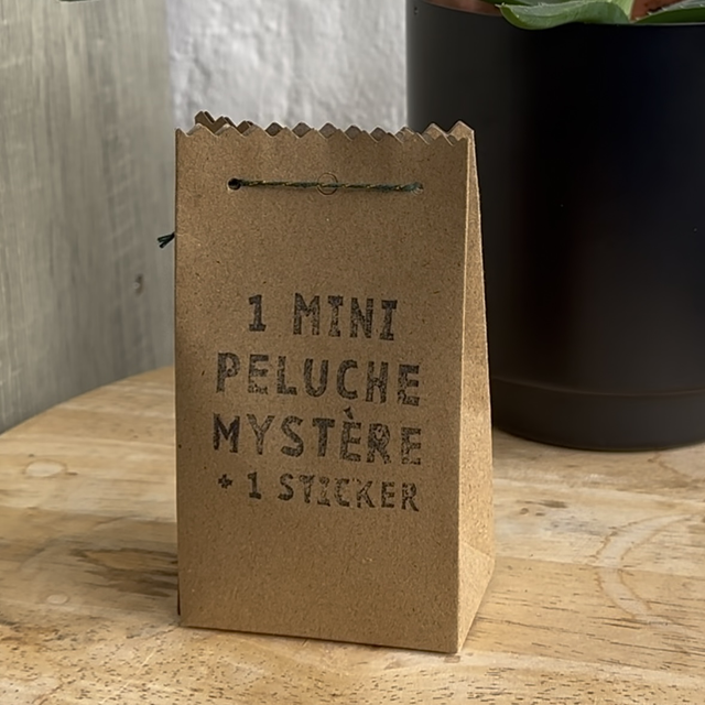 Pochette mystère 