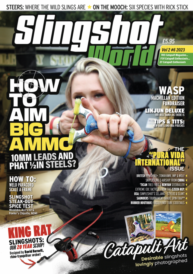12 ... slingshot-world N°6