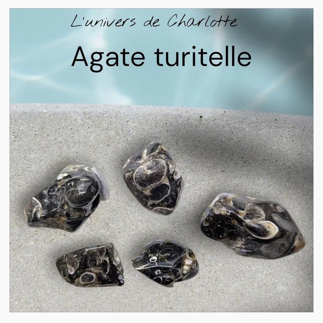 Pierre roulée "Agate turitelle"