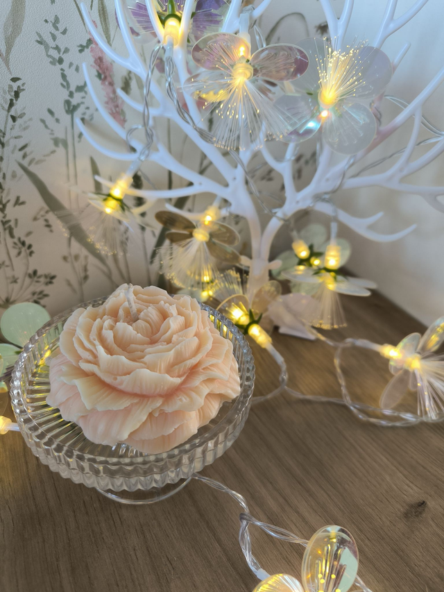 Bougie Pivoine " Brioche"