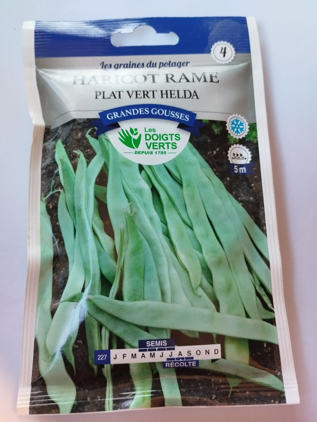 Haricot à rame plat vert Helda
