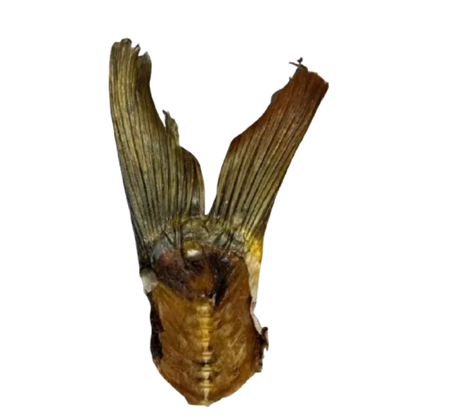 Queues de carpes séchées (sachet de 2)