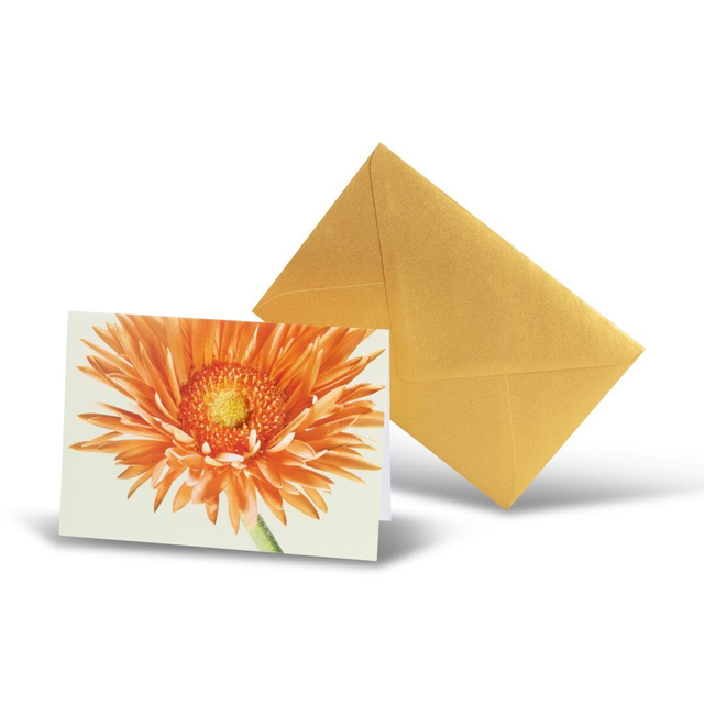 Karte "Gerbera"