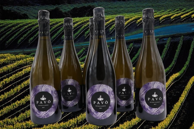 Box Pavò Franciacorta E "Selezione Brut Metodo Classico"