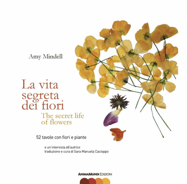 Mindell Amy - La vita segreta dei fiori (AnimaMundi)