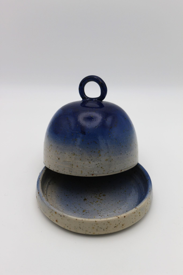 Beurrier bleu royal n°2