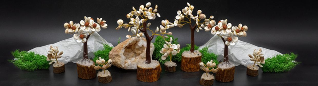 Gomati Chakra Stone Trees