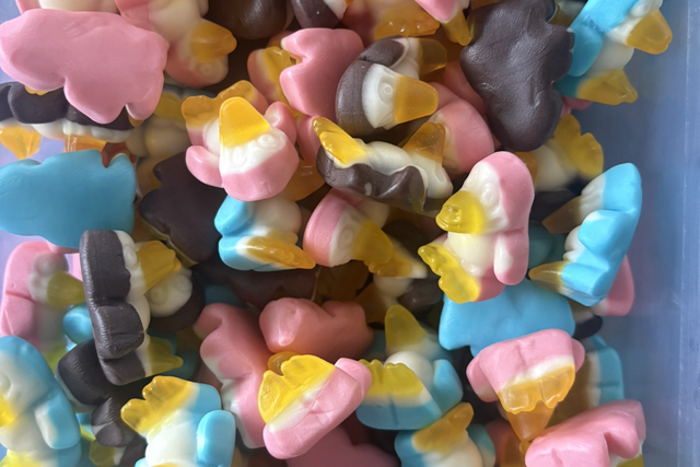 Pingouin TROLLI (100grs)