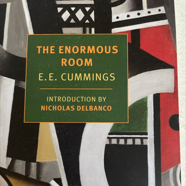 The Enormous Room E E Cummings