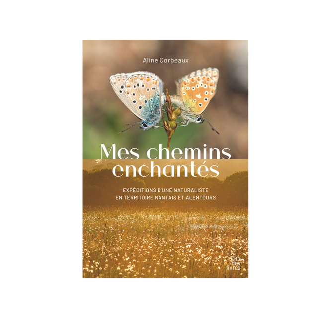 Mes chemins enchantés