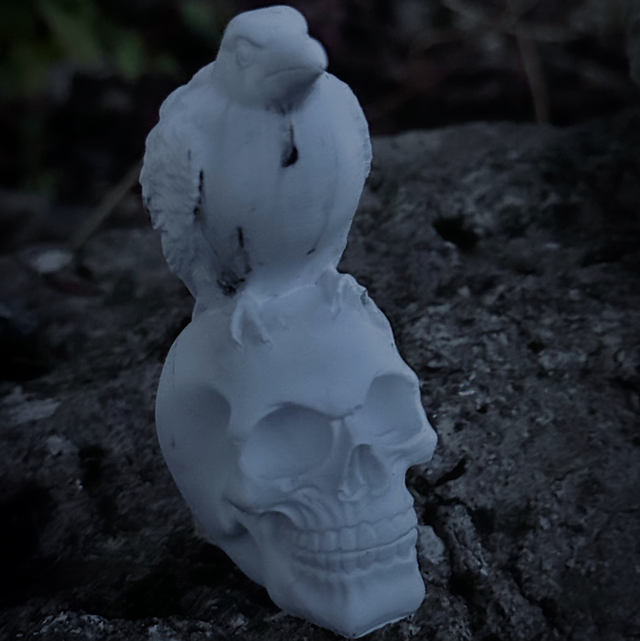 Ornement crâne corbeau 