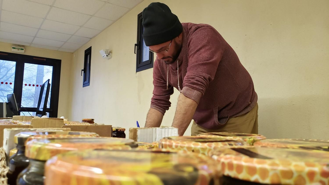 Miel de Chataignier - Miel naturel du Lot-et-Garonne - Happy Flo