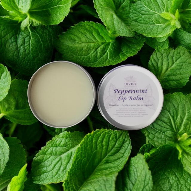 Naturally Nourishing Lip balms | 20ml Tin