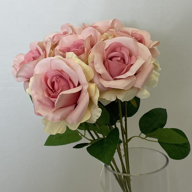Katie Open ROSE (Bundle 7) 