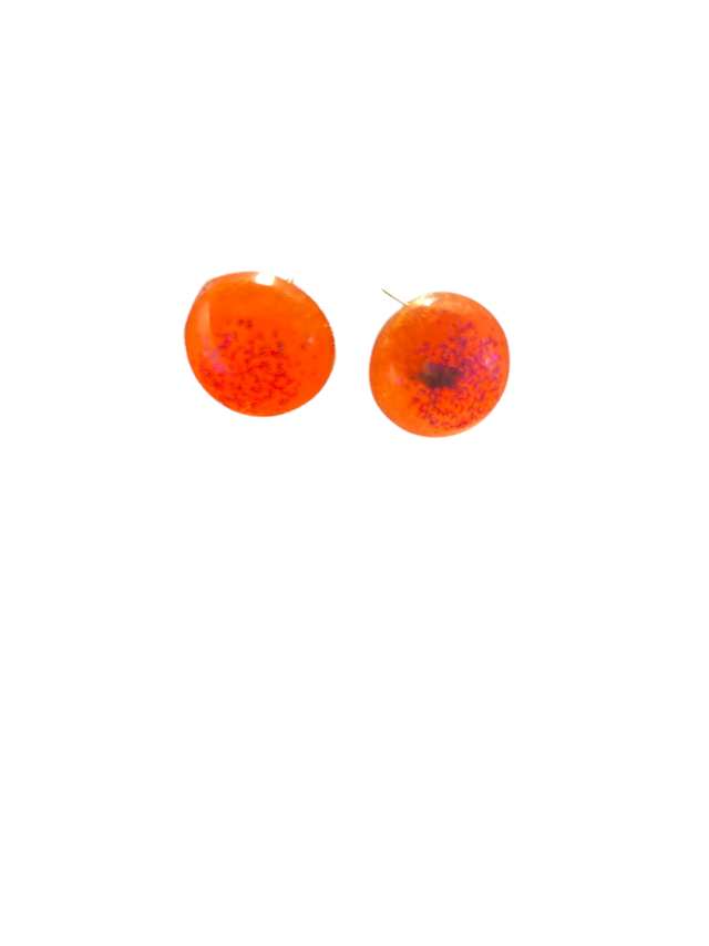 Boucle d&#039;oreilles  