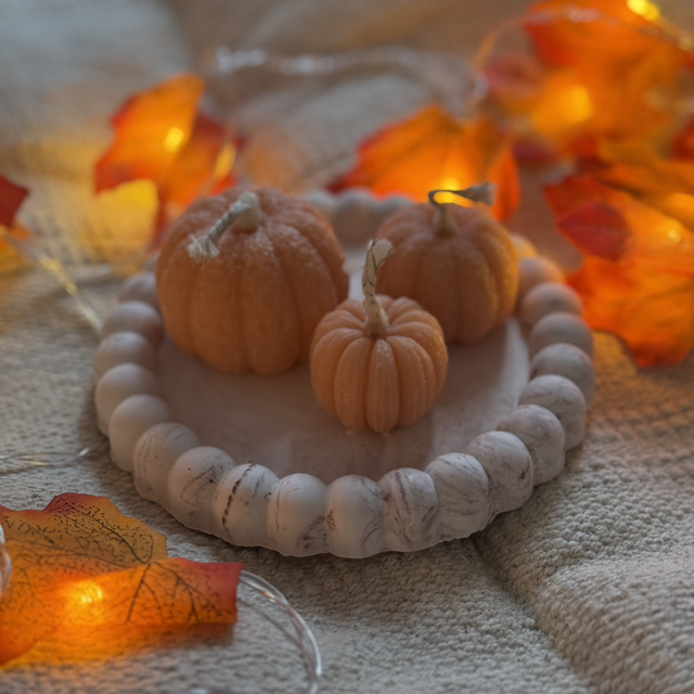 Citrouilles merveilleuses- Trio 