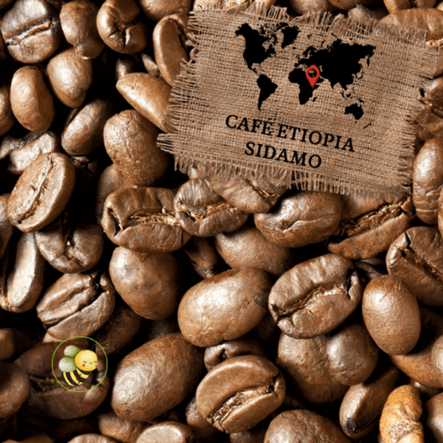 Café Premium Etiopía Sidamo 
