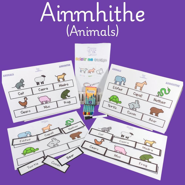 Ainmhithe (Animal) Activity Pack (Ages 3-8) Fun, educational, Irish & reusable!