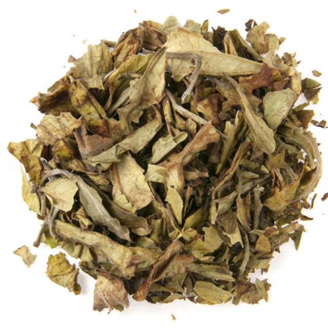 Kenya Nandi Safari White 