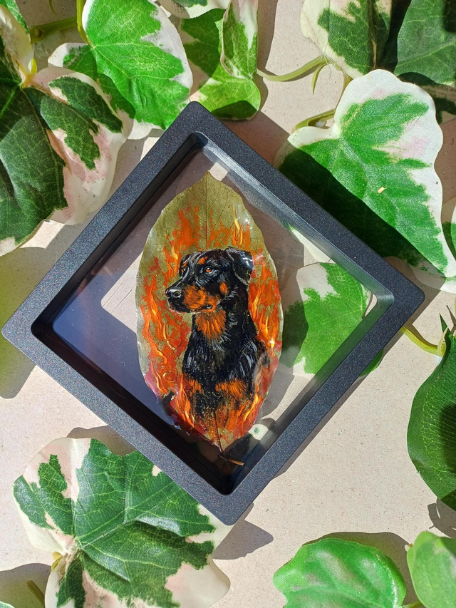 ✨️ Beauceron - peinture sur feuille 🍃 