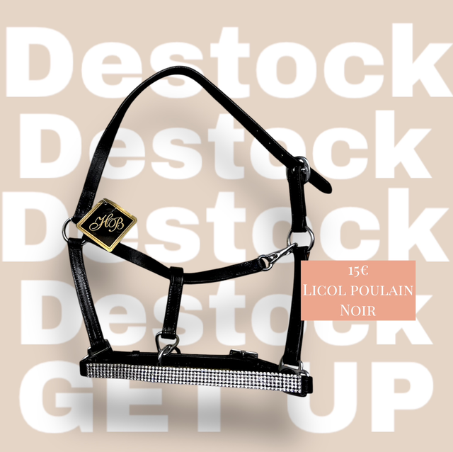 Licol cuir strass poulain 