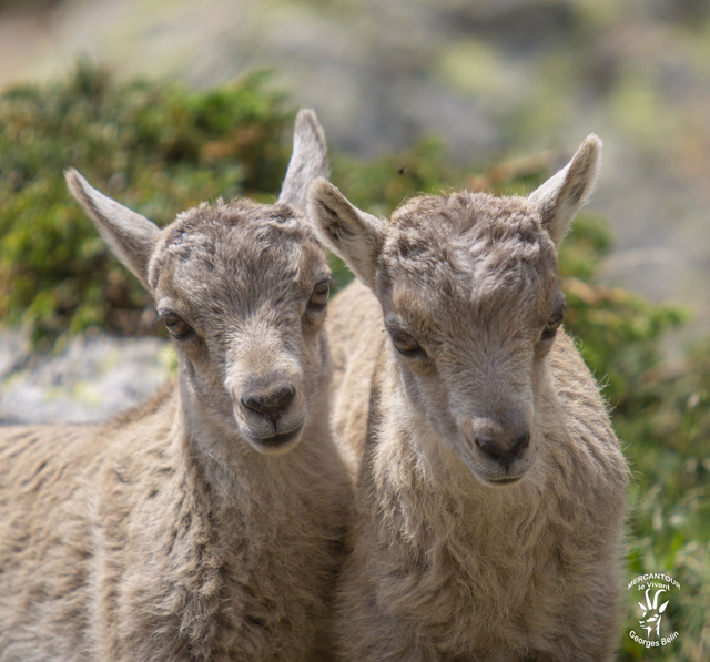 Photo sur toile 20 x 20