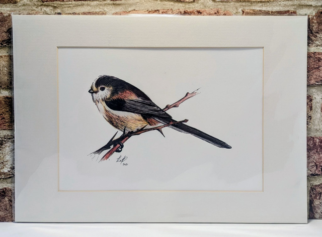 'British Birds' Watercolour Prints by Kate Woodhouse Anglesey Artist