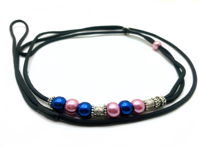 Laisse de présentation 