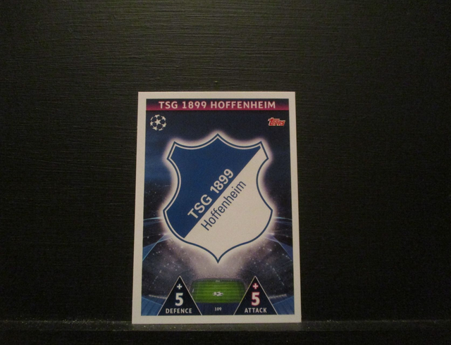 TSG 1899 HOFFENHEIM - UEFA Champions League Match Attax 2018/19 Original Trading Card #109