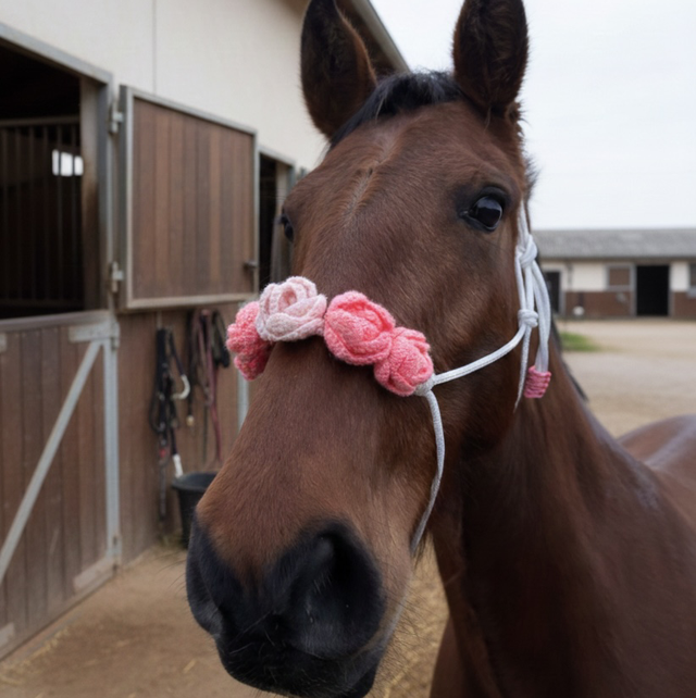 Licol Rosalia taille cheval - blanc et rose