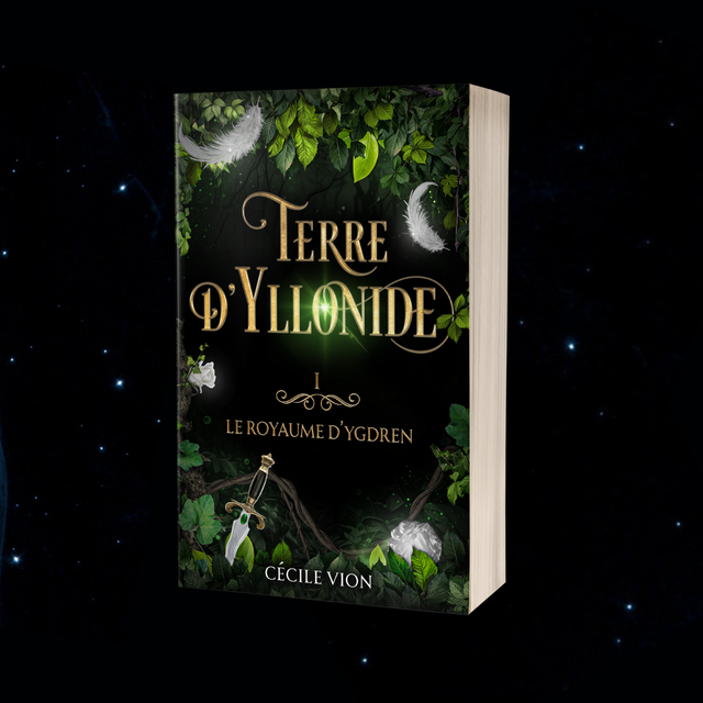 Terre d'Yllonide I - Le royaume d'Ygdren