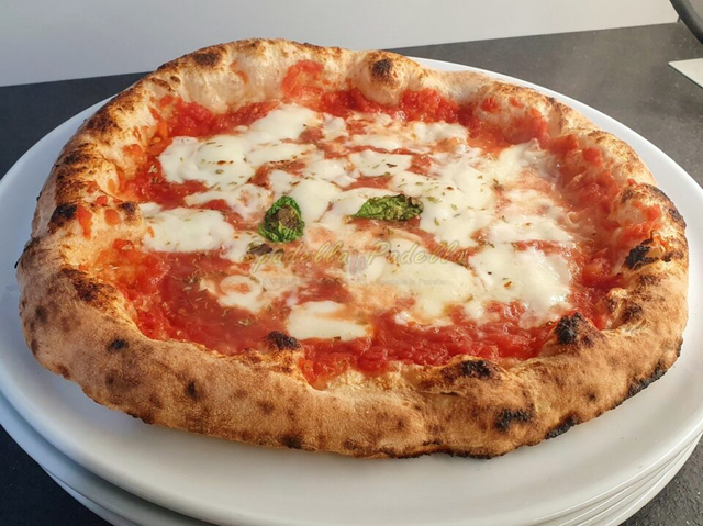 Pizza Margherita