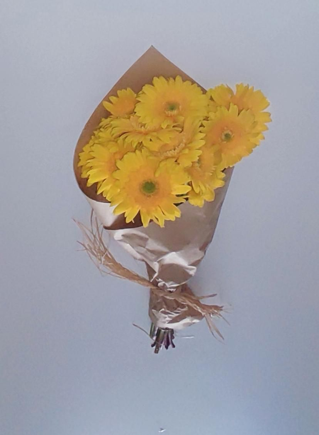 Gerbera Amarela