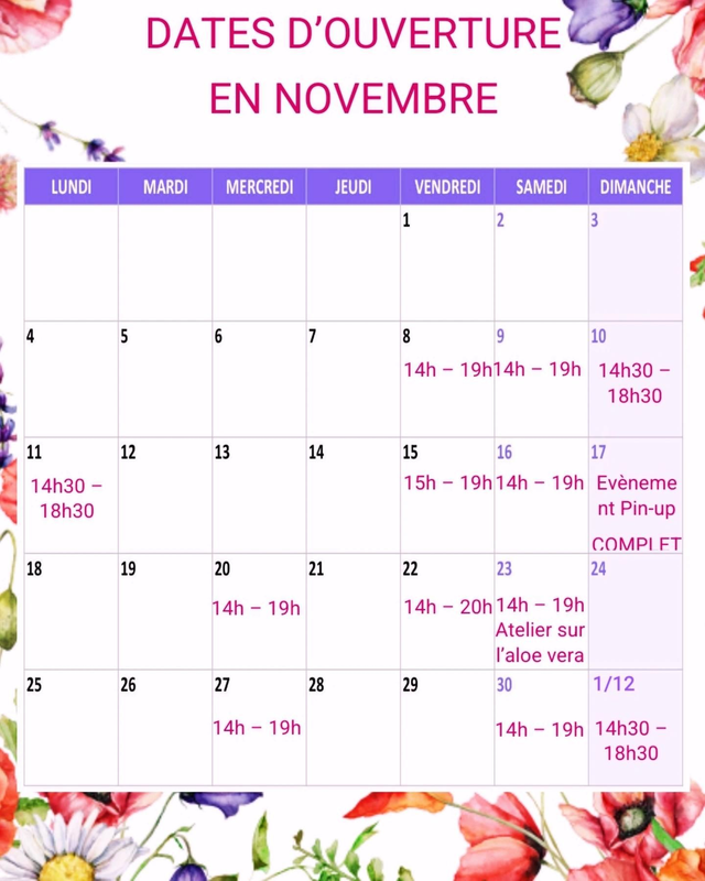 Planning de novembre 2024