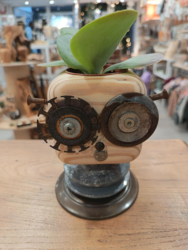 Tête plante sur socle